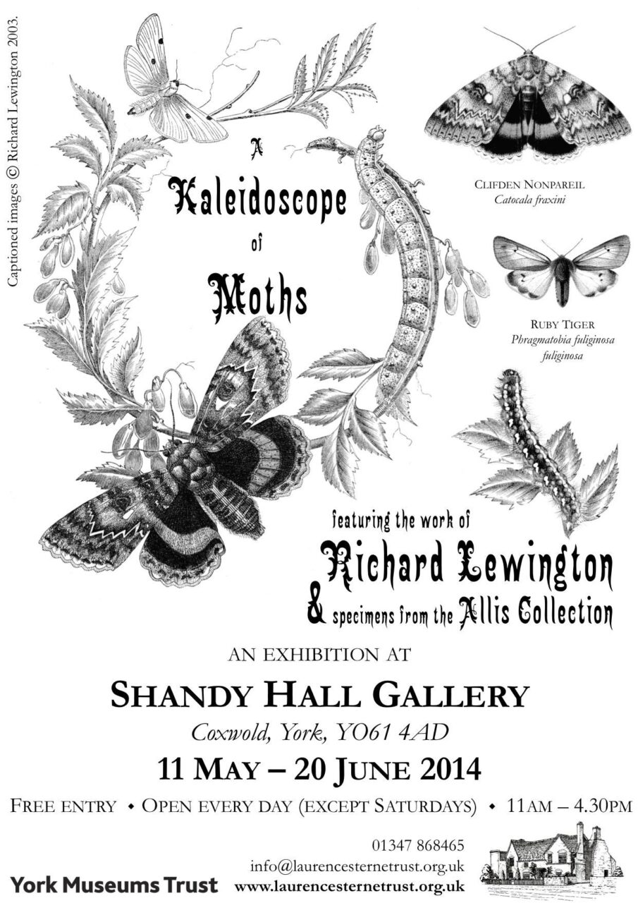 Kaleidoscope of Moths poster